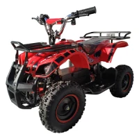 Elektryczny quad QMC ECO Torino 800W LED