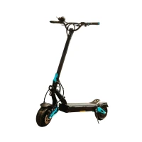 miniwalker-escooter-tiger-9-pro-wynajem