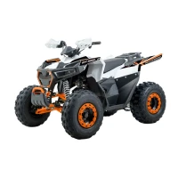 Quady Sport Energy AFF125