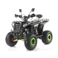 Quad ASIX COMMANDER 125