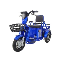 trujkolowiec-elektryczny-rdb-sinoe-pro