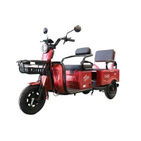 trujkolowiec-elektryczny-rdb-cargo