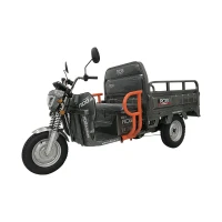 trujkolowiec-elektryczny-rdb-x-klass4