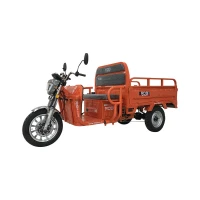 trujkolowiec-elektryczny-rdb-xl-klass4-hidraulic