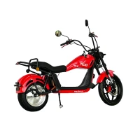 Skuter elektryczny RDB CP-6