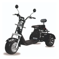 Skuter elektryczny RDB CC09