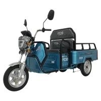 Trójkołowiec elektryczny RDB L-Klass4 bez prawa jazdy, 1350W, 25 km/h