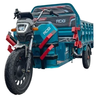 Elektryczny trójkołowiec RDB XS-Klass, 1600W, 25 km/h, bez prawa jazdy