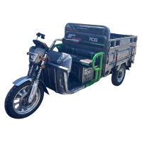 Trójkołowiec elektryczny RDB XL-Klass4 PLUS, 4000W, 72V 45Ah, 25km/h