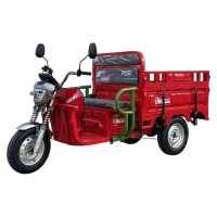 Trójkołowiec elektryczny RDB X-Klass4 PLUS, 3500W, bez prawa jazdy, 25 km/h