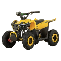 ATV Elektryczny dla Dzieci RDB FFG1000, 1000W, 36V / 12Ah, 25 km/h