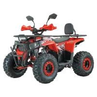 ATV RDB AY125, 125cc, 4 suwowy