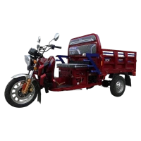 Trójkołowiec benzynowy RDB B-Klass, 150cc, 60 km/h, 4 suwowy