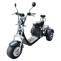 Elektryczny Trójkołowiec RDB CC09