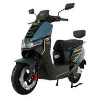 Skuter Elektryczny RDB RAC