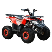ATV dla dorosłych benzyna RDB FXATV-SV
