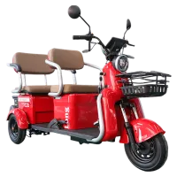 Trójkołowiec elektryczny RDB LONG, bez prawa jazdy, 2000W, 25km/h