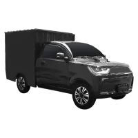 Elektryczne auto RDB Pony Box, Pick-up, 7000W, 45 km/h, Klimatyzacja, 2023