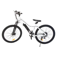 Rower elektryczny RDB T7, 250W, zasięg 30 - 40 km, 25km/h, 36v, 10.4 Ah