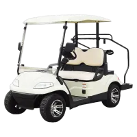 Elektryczny samochód RDB Golf4S, 3000W, 60V/100Ah