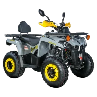 Ciągnik Barton Discover 200 ciągnik pomocniczy - Barton Motors