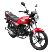 Motorower Barton Fighter ECO