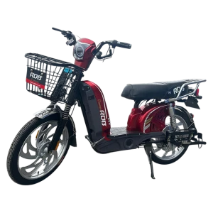 Skuter elektryczny RDB Dunarea 450W