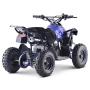 Quad QMC Renegate 49cc 