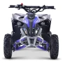 Quad QMC Renegate 49cc 