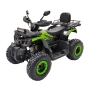 Quad off-road TaoMotor Warrior 200cc