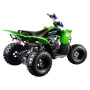 ATV Barton Pentora 125