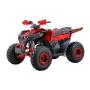 Quady Sport Energy AFF125