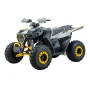 Quady Sport Energy AFF125