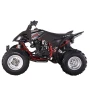 ATV Mikilon Y65 PENTORA 250cc