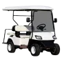 Samochód elektryczny RDB Golf4SF, 3000W, 60V/100Ah