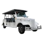 Samochód elektryczny RDB Tcar8S, 4000W, 60V/100Ah