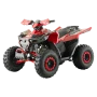 ATV Barton Terrax 125