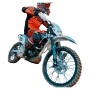 Cross Barton NXT 150 - cross 150 cm3 | Barton Motors