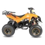 Quad QMC Warrior RS8 125cc