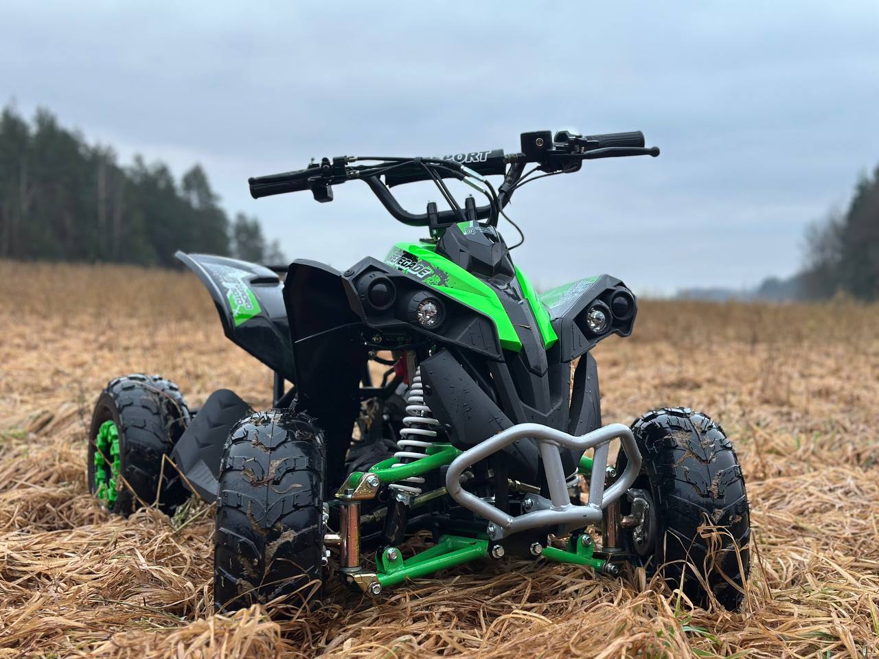 photo_10_2025-12-22_12-16-31