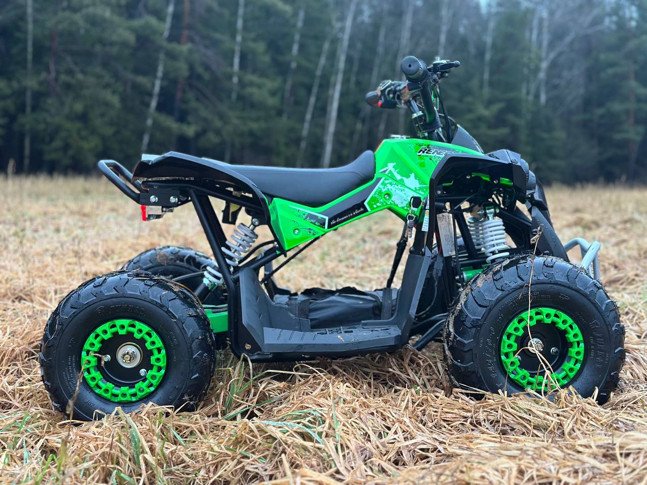 photo_5_2025-12-22_12-16-31