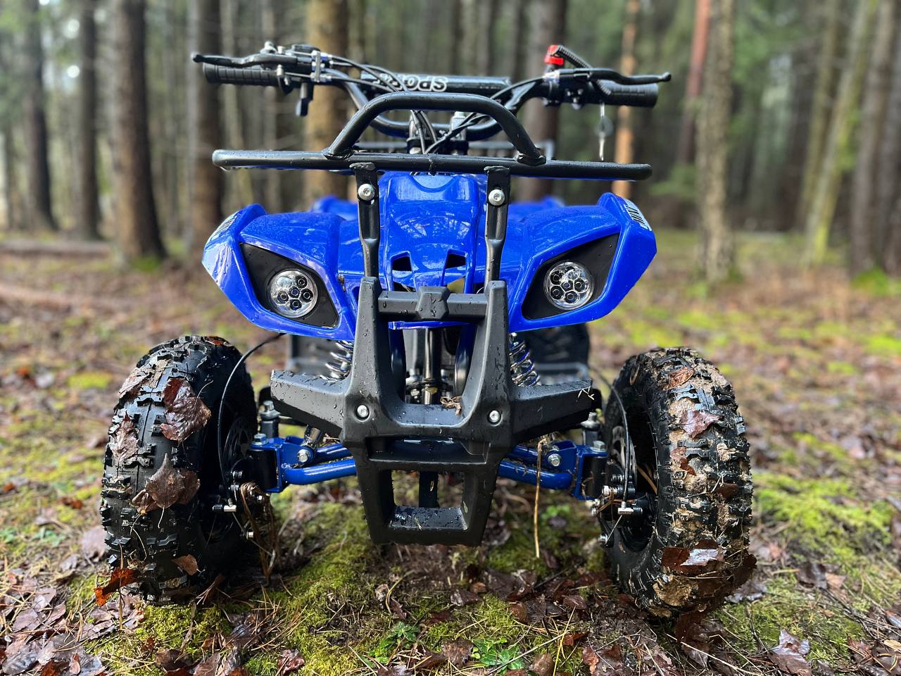 photo_1_2025-12-22_11-51-52