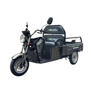 e-cargo-tricycle-eborn-cargo-cat-1