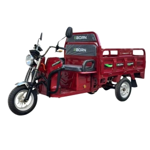 e-cargo-tricycle-eborn-cargocat-2-s
