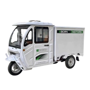 e-cargo-tricycle-eborn-cargocat-3-b