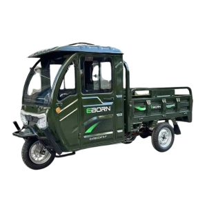 e-cargo-tricycle-eborn-cargocat-3-s